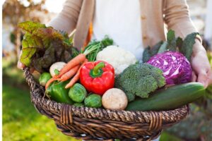 Potager 4 saisons : récolter frais toute l'année