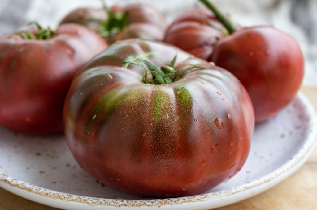 Problème de Cul Noir : Comment Prévenir et Traiter le Noircissement du Cul des Tomates pour une Récolte Saine et Abondante
