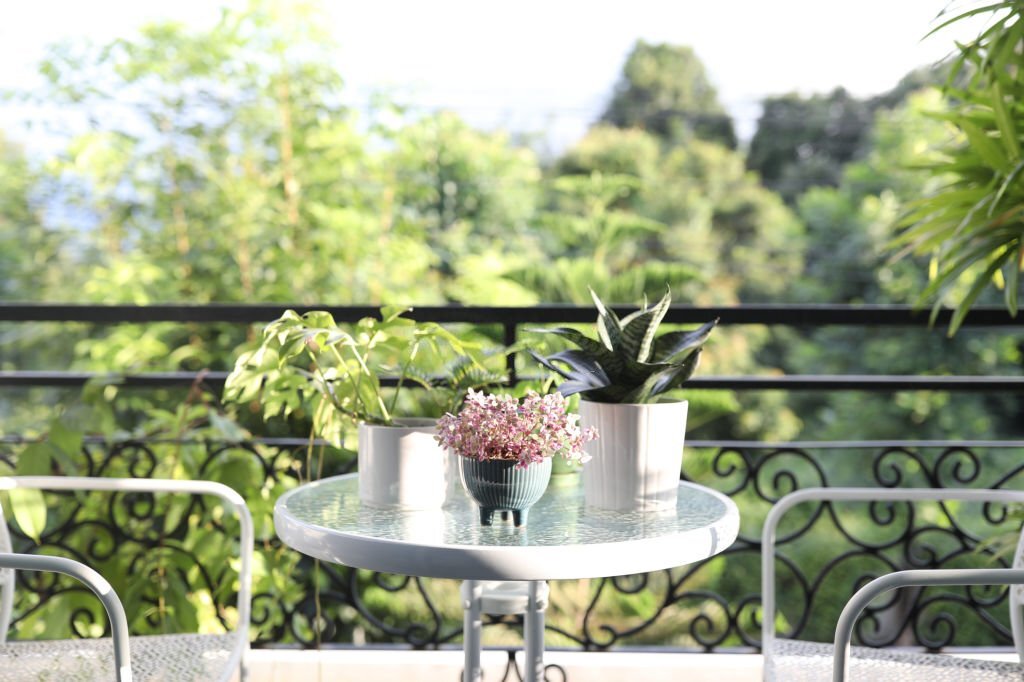 Évasion Végétale : Découvrez 5 Idées Inédites pour Transformer Votre Balcon en une Oasis de Verdure et Créer un Espace de Détente Unique