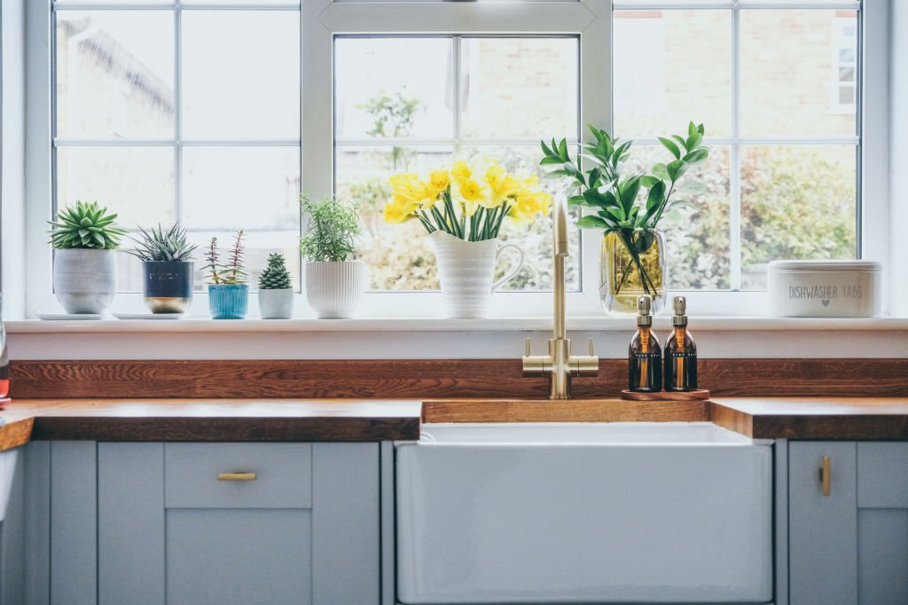 Esthétique Naturelle : Embellissez Votre Espace avec des Succulentes, Une Décoration Simple, Élégante et Rafraîchissante