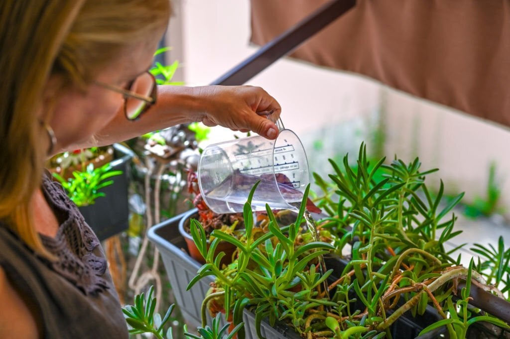 DIY : gel d'arrosage maison pour jardiniers