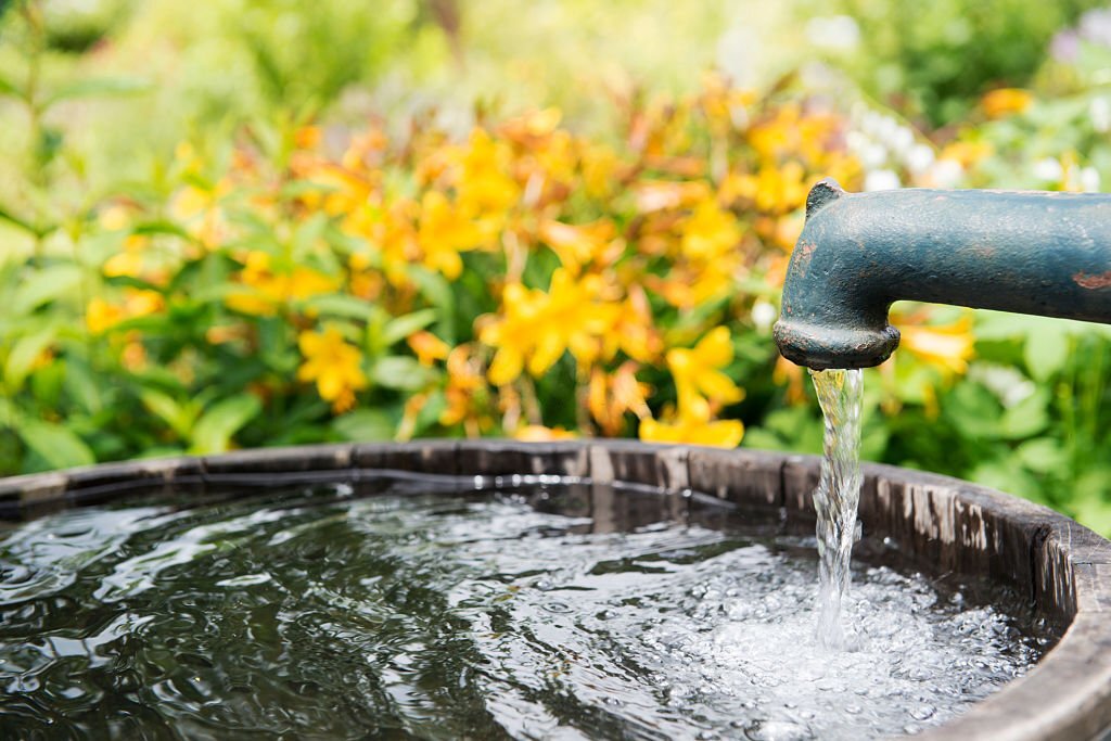 Eau de Votre Pompe pour Arroser Votre Jardin