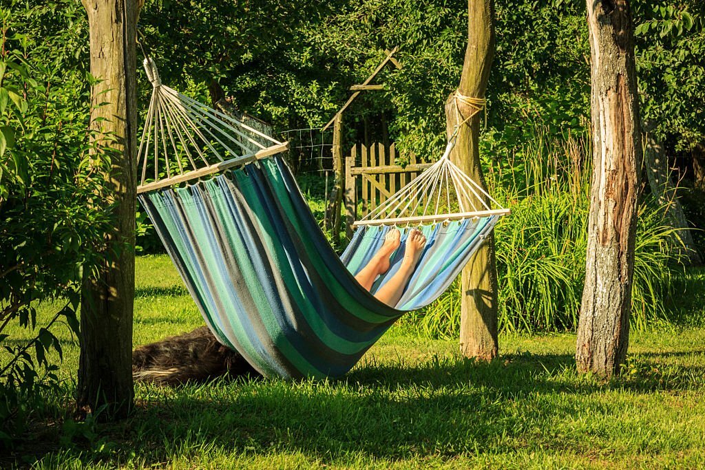 Lien avec la Nature : L'Image d'un Jardinier en Vacances Qui Ne Peut S'Empêcher de Penser et de Prendre Soin de Ses Précieuses Plantes