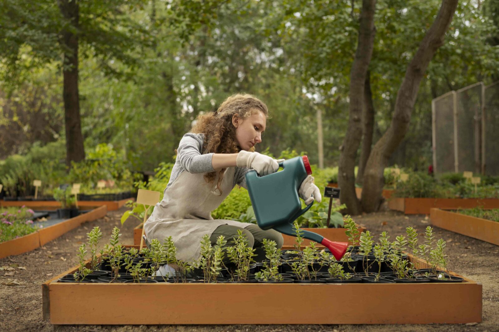 Jardinière pour fraisier fabriquée en recyclant une palette en bois