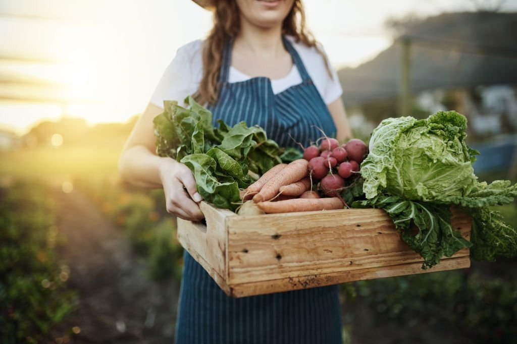 Palette de Saveurs Fraîches : Découvrez les Légumes Cultivés avec Passion dans Votre Potager