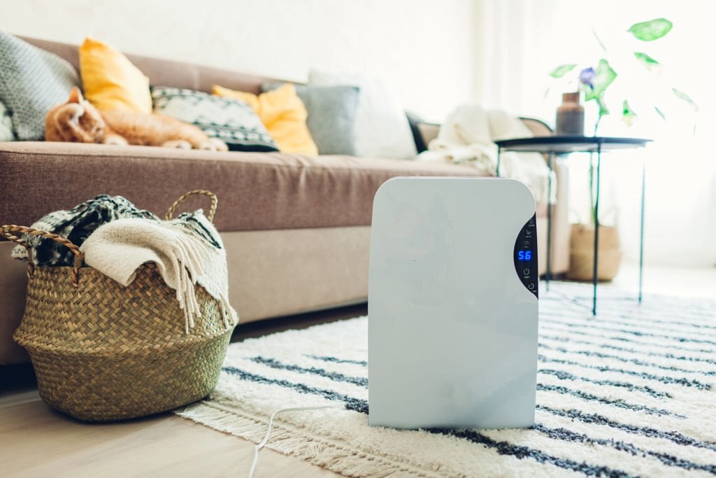 Lutte contre l'humidité en chambre : Solutions efficaces