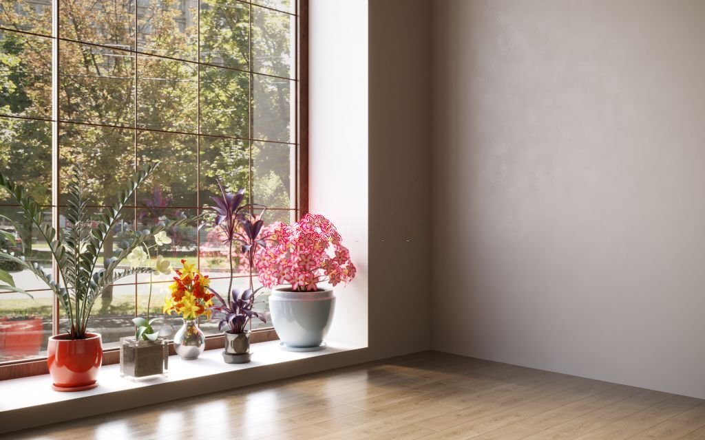 L'Art du Soleil : Comment la Météo Influence l'Exposition au Soleil des Fleurs et Comment Choisir les Variétés Adaptées à Votre Jardin