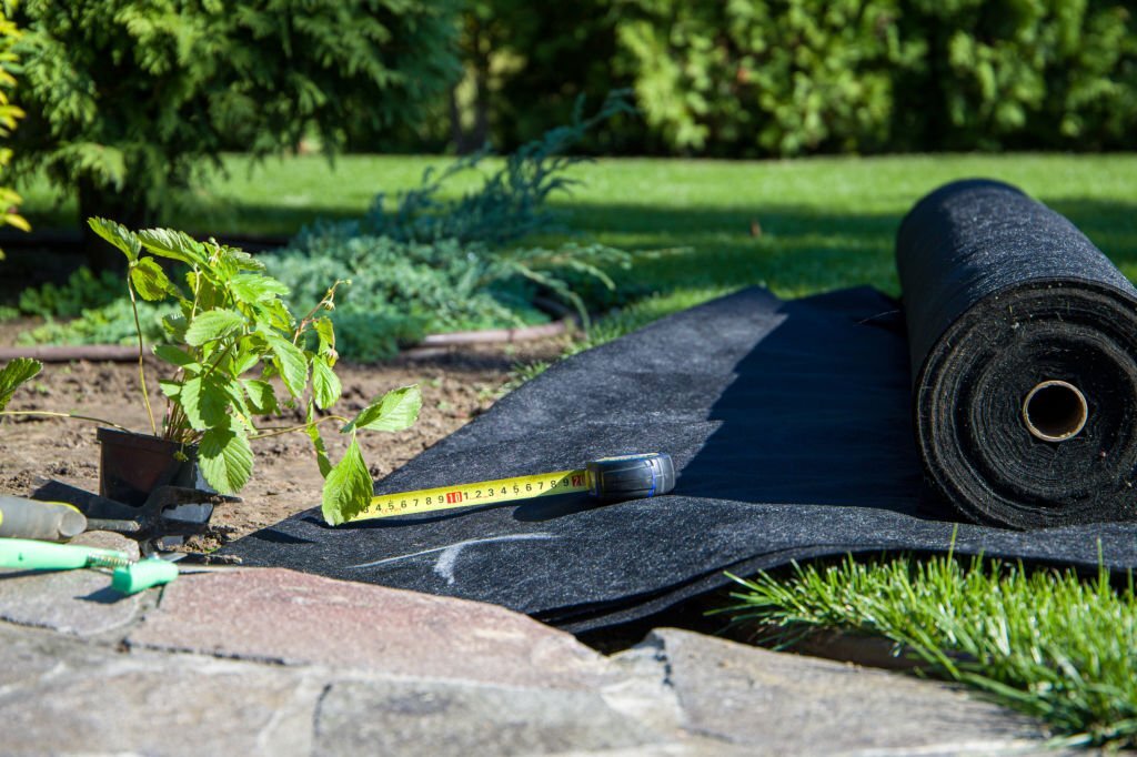 Stratégies Naturelles : Élaborez un Plan Anti-Mauvaises Herbes pour Préserver la Santé de Votre Jardin