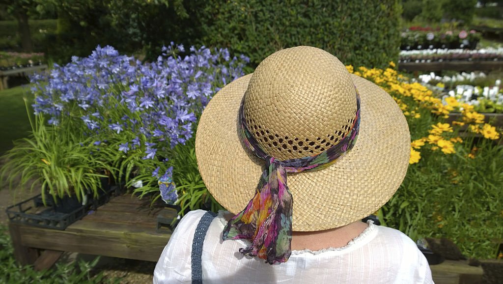 Préserver la Fraîcheur : Astuces pour Protéger Votre Jardin et Vos Plantes pendant les Périodes de Canicule pour une Végétation Saine et Vigoureuse