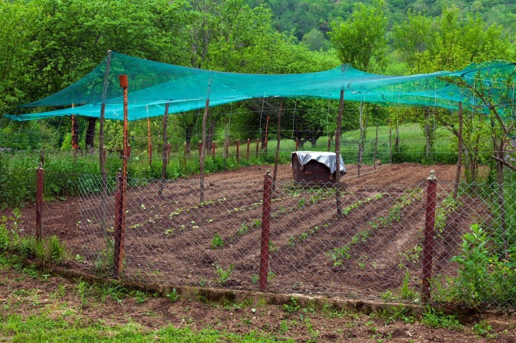 Préparation aux Intempéries : Guide pour Protéger Votre Jardin des Tempêtes et des Conditions Climatiques Extrêmes