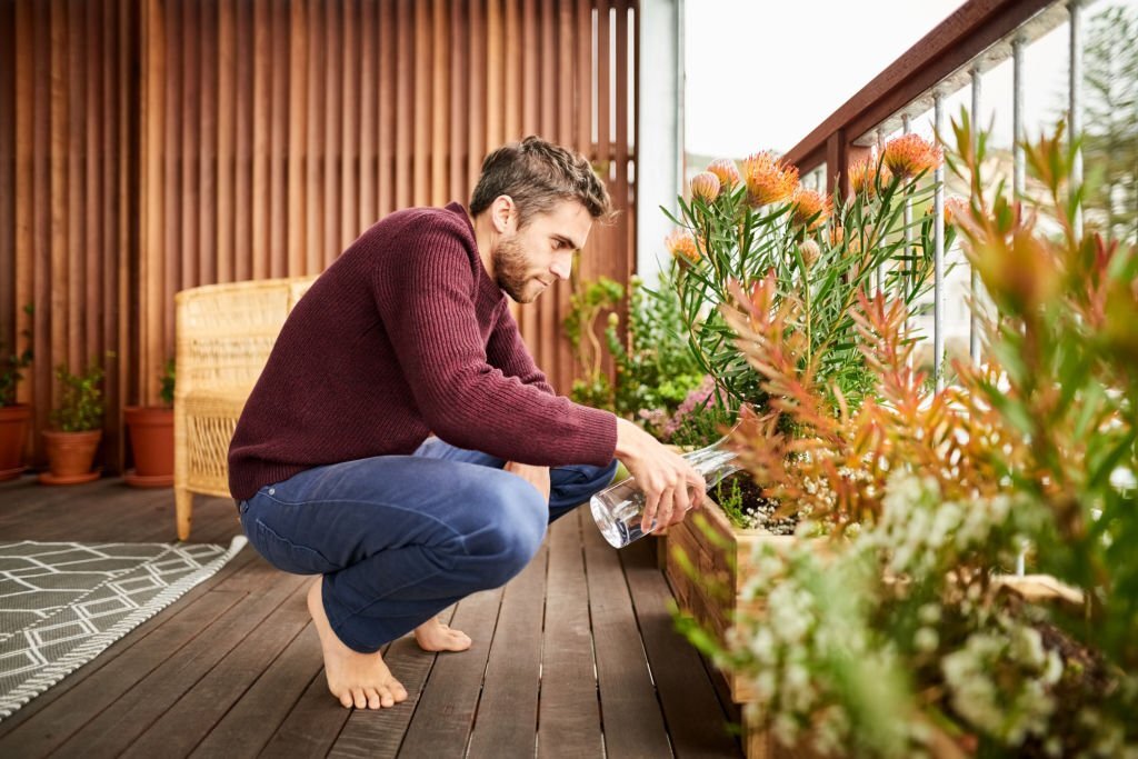 Nature en Ville : Embellissez Votre Terrasse ou Balcon avec des Jardinières Remplies de Plantes pour une Oasis de Verdure