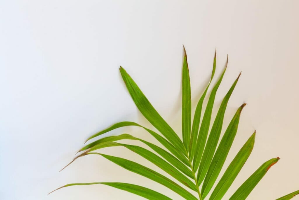 Considérations environnementales pouvant avoir un impact sur les cycles d'arrosage