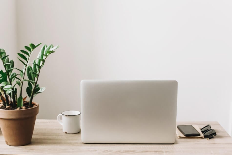 Le rôle des plantes de bureau dans le Feng Shui