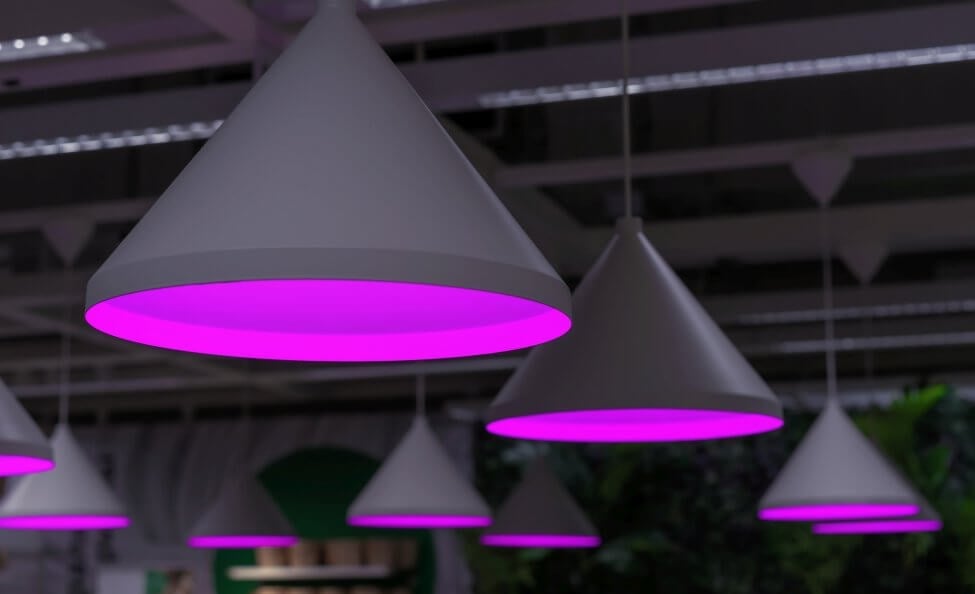 Quels sont les principaux types de lampes de culture artificielles adaptées aux plantes d'intérieur ?