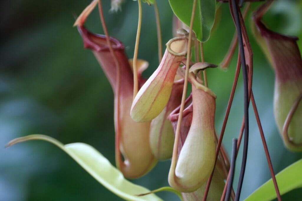 Propagation