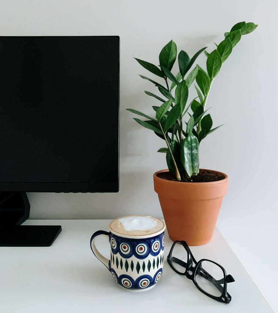 Plante ZZ sur un bureau