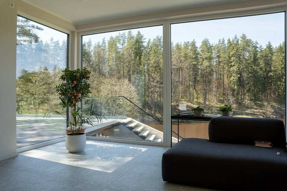 Agrumes Meilleures plantes pour la porte d'entrée en Feng Shui