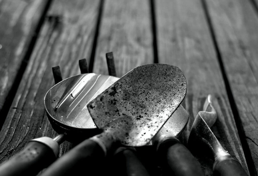 Outils essentiels pour les plantes d'anthurium