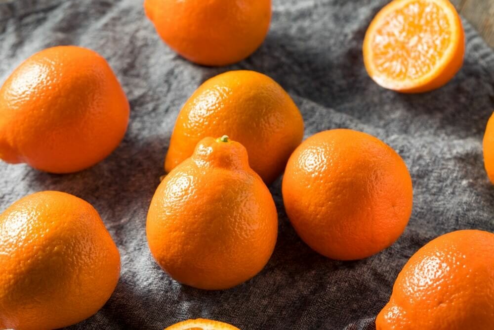 Tangelo (Citrus x tangelo)