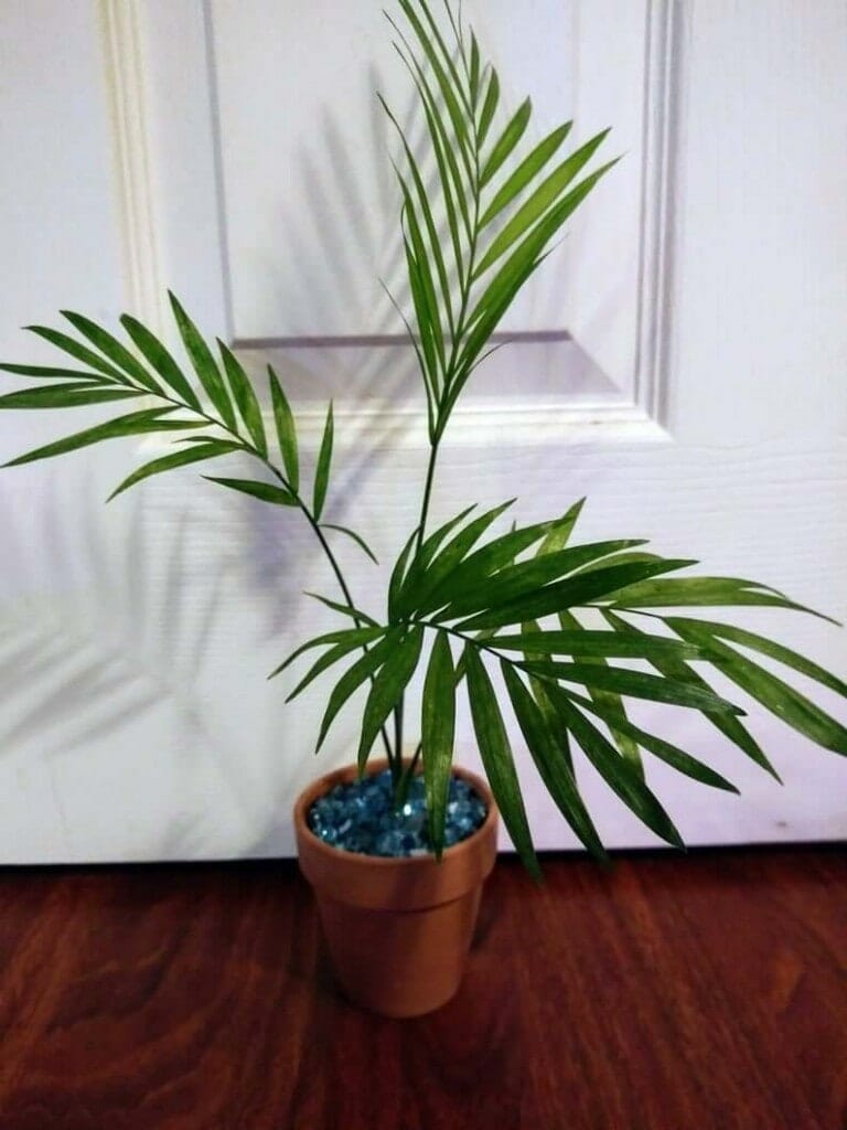 Palmier de Cascade sur Etsy