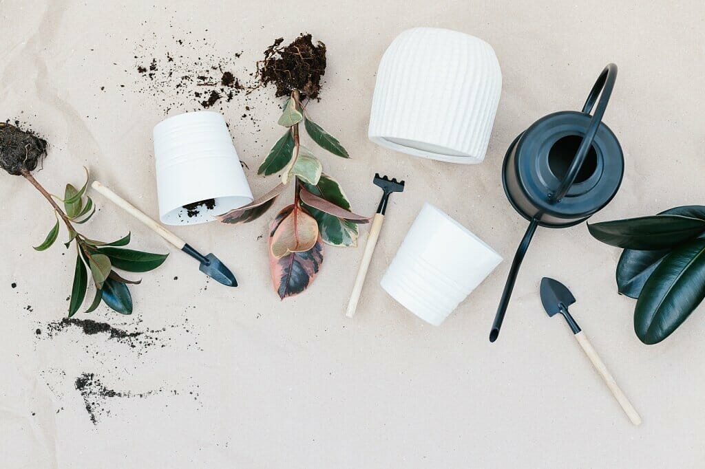 Outils essentiels pour les plantes d'intérieur