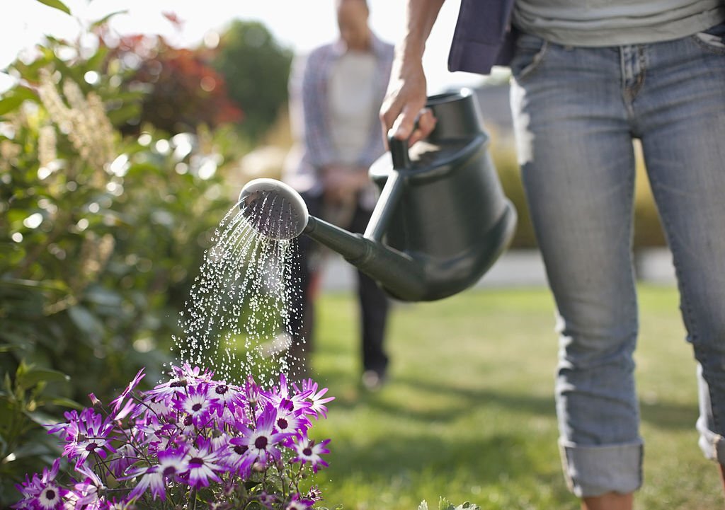 Arroser avec l'eau de piscine : Bonne ou mauvaise idée du point de vue écologique ?