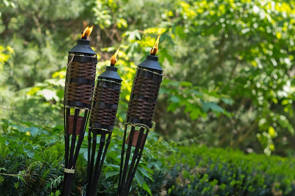 Contrôle des moustiques dans le jardin.