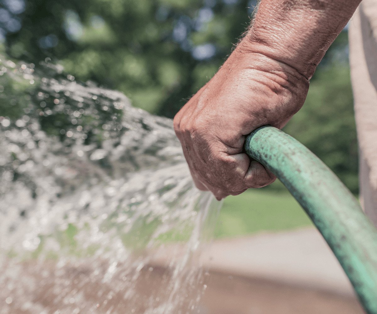Douze erreurs à éviter pour prendre soin de votre Aloe Vera : Astuces d'entretien