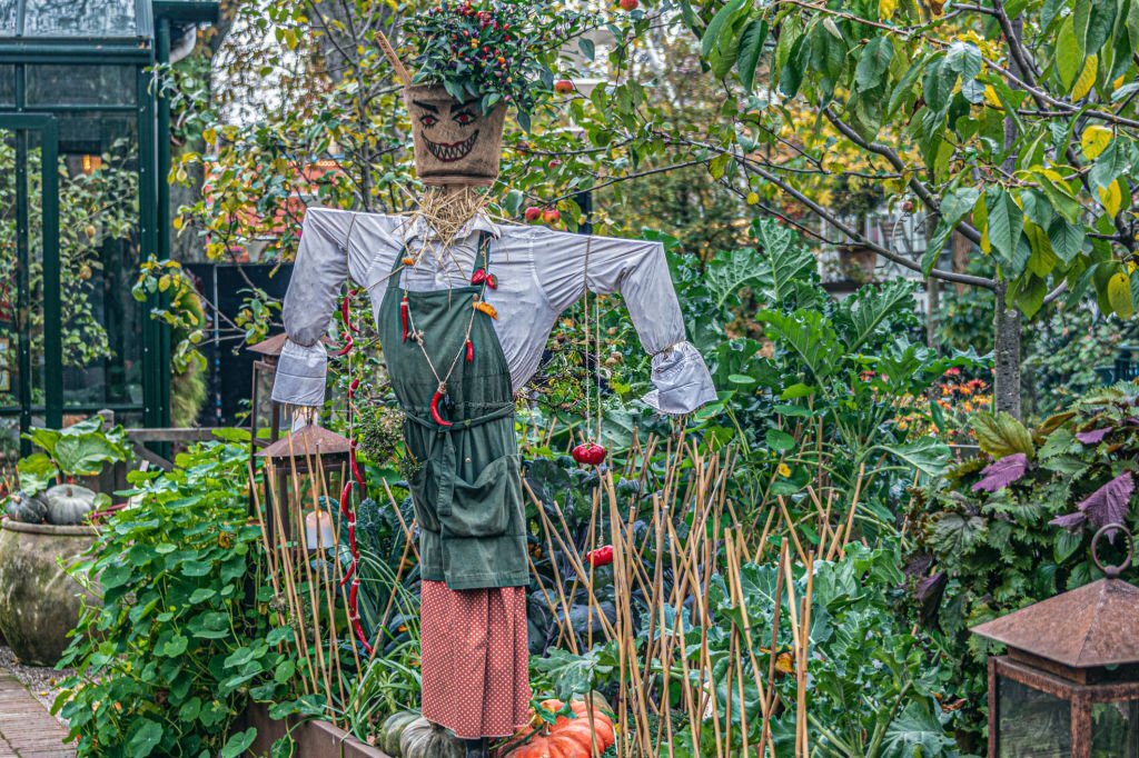 Légumes à ne pas rater en serre en septembre : guide d'un horticulteur