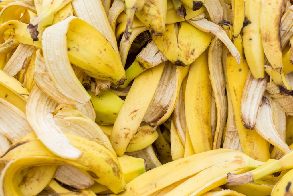  Les peaux de bananes pour nourrir les plantes.