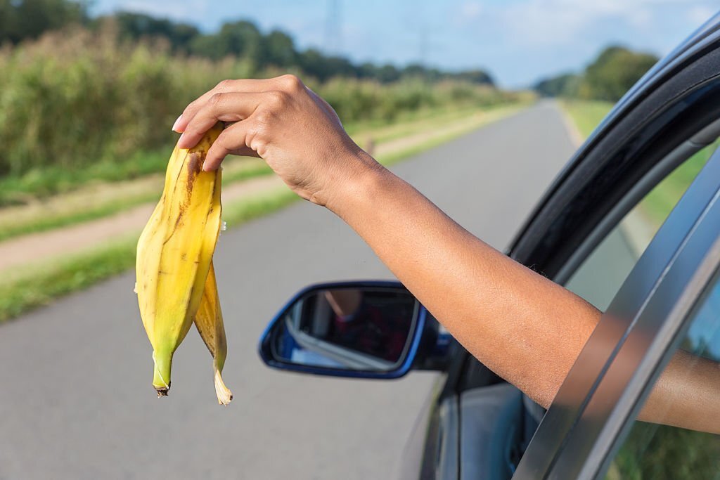  Un jardinier révèle pourquoi ne jamais jeter les peaux de bananes.