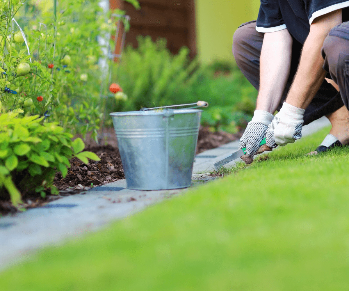 La technique de jardinage qui éradique les mauvaises herbes entre les carreaux : Conseils pratiques