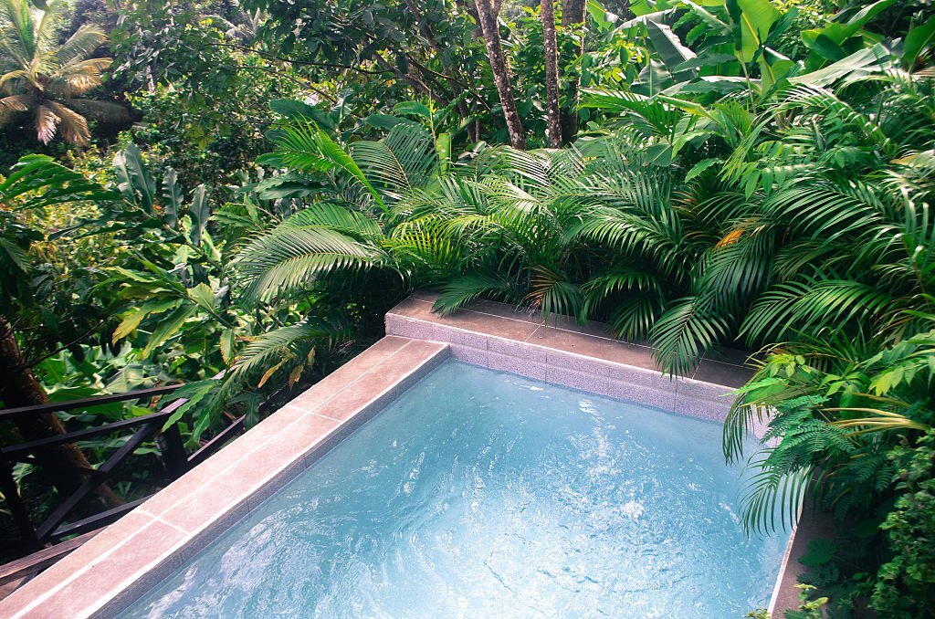 Comment utiliser l'eau de piscine de manière écologique.
