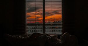 découvrez tout ce que vous devez savoir sur les punaises de lit, leurs dangers et comment s'en débarrasser efficacement.