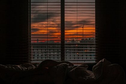 découvrez tout ce que vous devez savoir sur les punaises de lit, leurs dangers et comment s'en débarrasser efficacement.