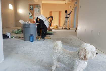 rénovation intérieure agen maison langel