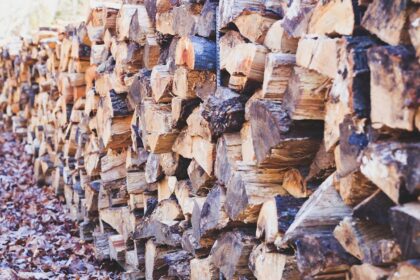 achetez du bois de chauffage de qualité supérieure chez firewood, votre source de chaleur pour l'hiver. livraison rapide et service client exceptionnel.