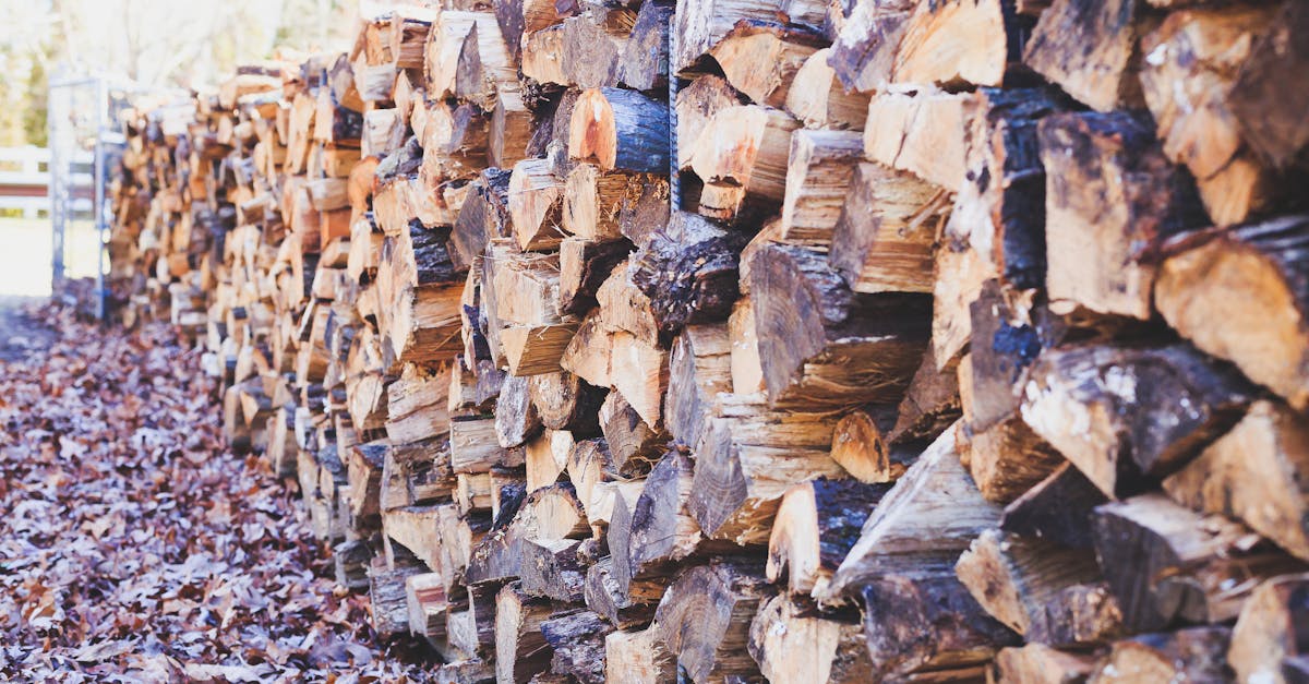 achetez du bois de chauffage de qualité supérieure chez firewood, votre source de chaleur pour l'hiver. livraison rapide et service client exceptionnel.