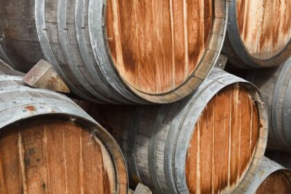 découvrez l'art de la vinification avec notre guide complet sur les métiers du vigneron. apprenez les techniques de production, les cépages, et les secrets pour élaborer des vins d'exception.