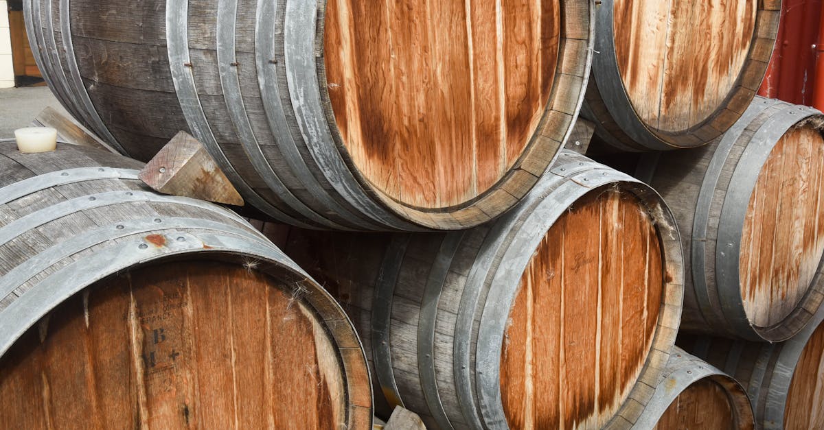 découvrez l'art de la vinification avec notre guide complet sur les métiers du vigneron. apprenez les techniques de production, les cépages, et les secrets pour élaborer des vins d'exception.