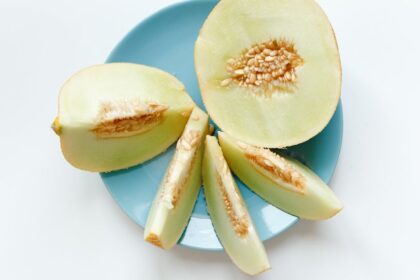 découvrez le melon parfait : fruit juteux et savoureux, idéal pour vos recettes d'été et vos moments de fraîcheur. apprenez à choisir, préparer et déguster ce délice sucré pour ravir vos papilles.