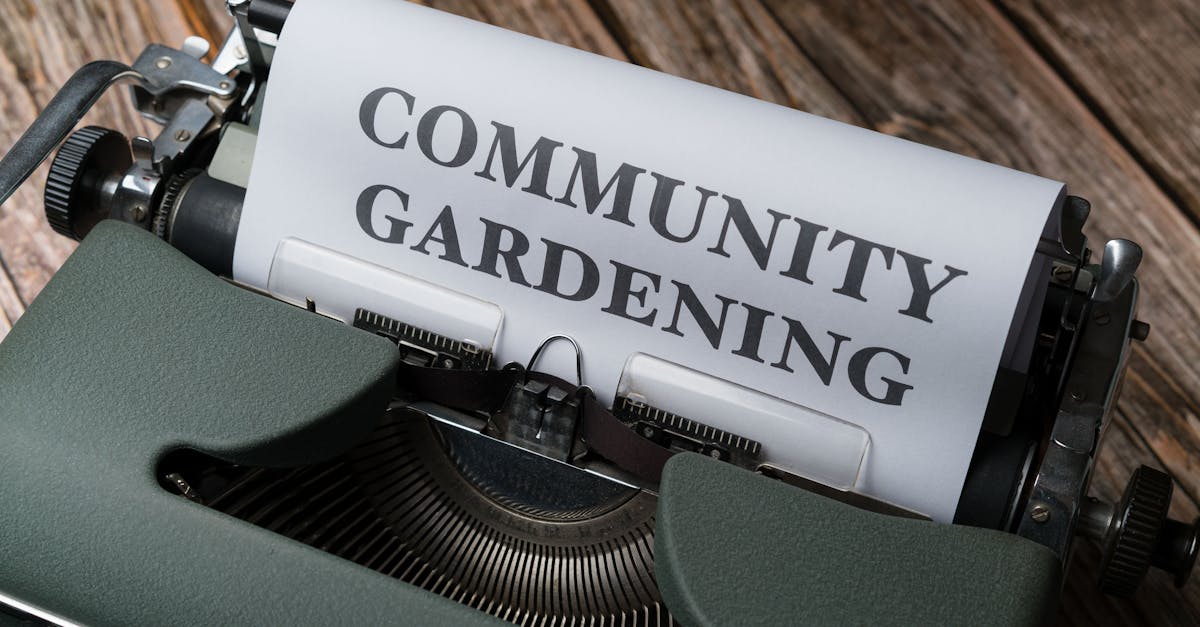 découvrez l'art du compostage, une méthode écologique pour recycler vos déchets organiques et enrichir votre jardin. apprenez les techniques essentielles pour créer un compost de qualité tout en réduisant votre empreinte carbone.