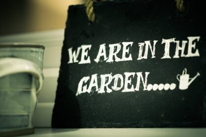 découvrez l'univers du jardinage avec nos conseils pratiques, astuces et inspirations pour créer un jardin épanouissant. que vous soyez novice ou jardinier expérimenté, apprenez à cultiver vos plantes, entretenir votre espace vert et profiter de la beauté de la nature chez vous.