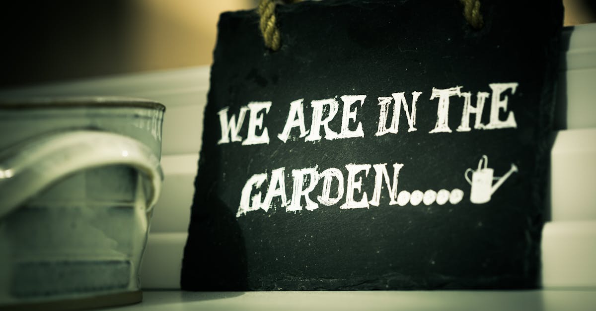 découvrez l'univers du jardinage avec nos conseils pratiques, astuces et inspirations pour créer un jardin épanouissant. que vous soyez novice ou jardinier expérimenté, apprenez à cultiver vos plantes, entretenir votre espace vert et profiter de la beauté de la nature chez vous.