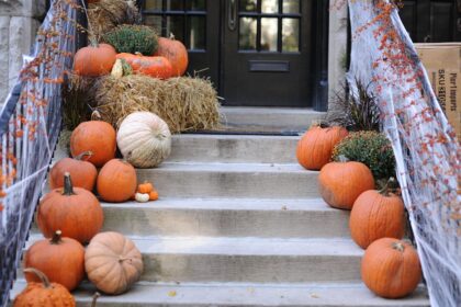découvrez des idées originales et effrayantes pour décorer votre maison à l'occasion d'halloween. transformez votre espace en un environnement mystique avec nos décorations inspirées de l'horreur, allant des citrouilles lumineuses aux toiles d'araignées. préparez-vous à impressionner vos invités et à célébrer cette fête emblématique avec style!
