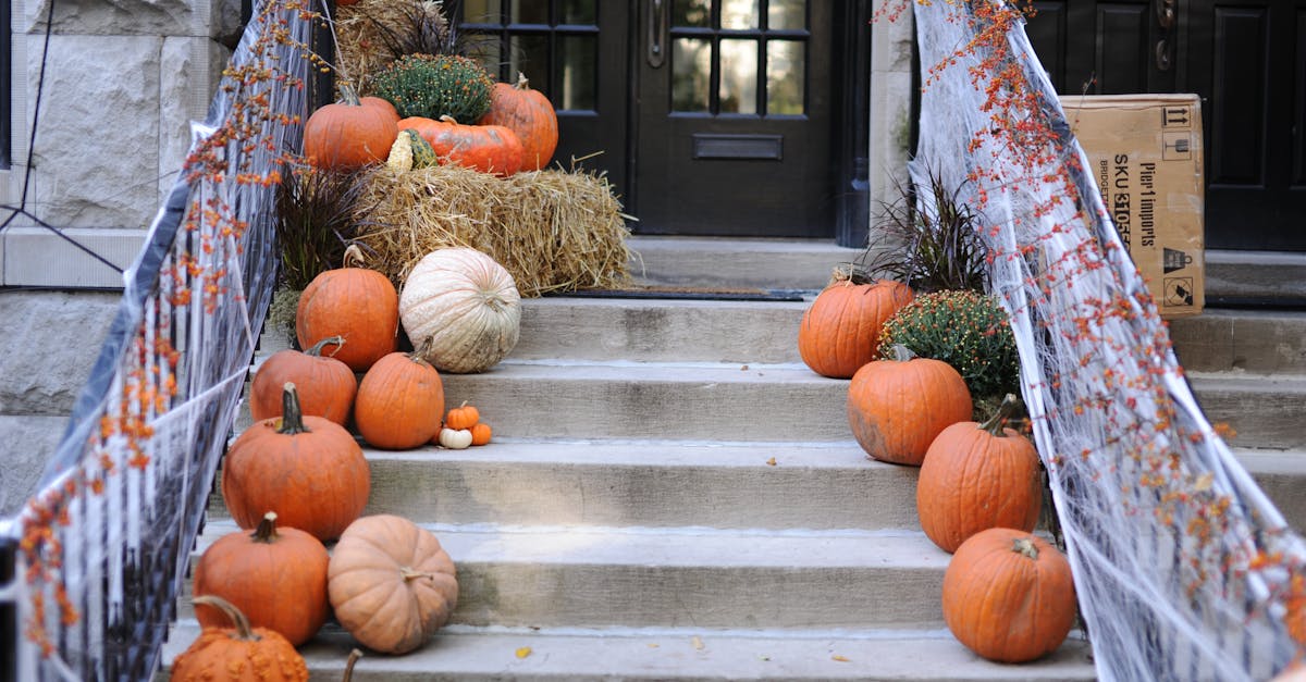 découvrez des idées originales et effrayantes pour décorer votre maison à l'occasion d'halloween. transformez votre espace en un environnement mystique avec nos décorations inspirées de l'horreur, allant des citrouilles lumineuses aux toiles d'araignées. préparez-vous à impressionner vos invités et à célébrer cette fête emblématique avec style!