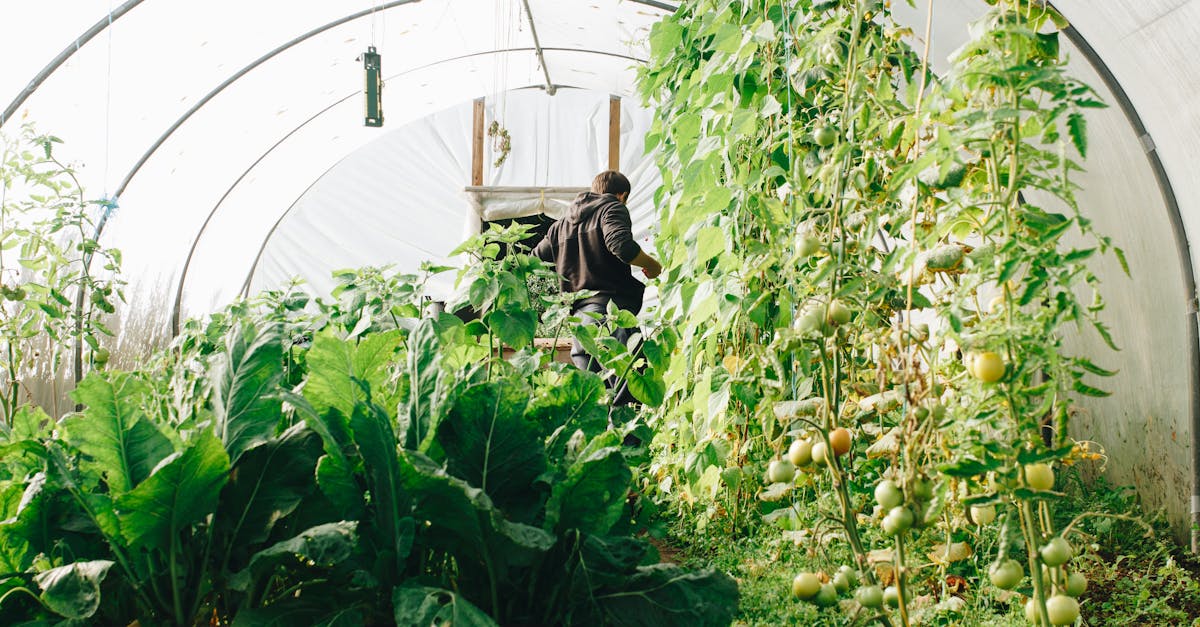 découvrez l'art du jardinage avec nos conseils pratiques, astuces et inspirations pour cultiver des plantes, fleurs et légumes dans votre jardin. transformez votre espace en un oasis verdoyant et épanouissant.