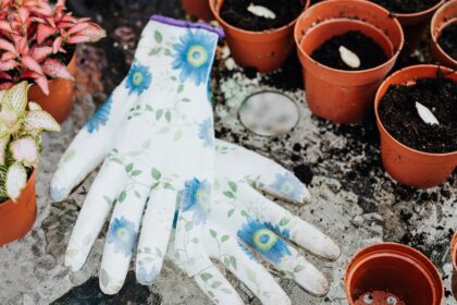 découvrez notre terreau de rempotage de haute qualité, idéal pour favoriser la croissance de vos plantes et fleurs. offrez à vos végétaux le substrat nutritif dont ils ont besoin pour prospérer. parfait pour tous vos projets de jardinage, ce terreau léger et aéré garantit un bon drainage et une humidity optimale.