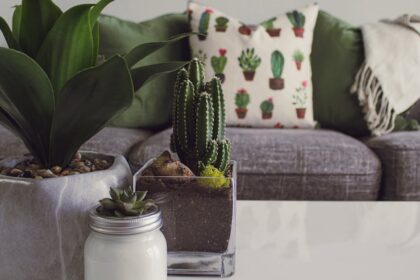 découvrez des idées inspirantes et créatives pour sublimer votre intérieur avec des astuces de décoration tendance. transformez chaque pièce en un espace unique et accueillant grâce à nos conseils pratiques et inspirations décoratives.