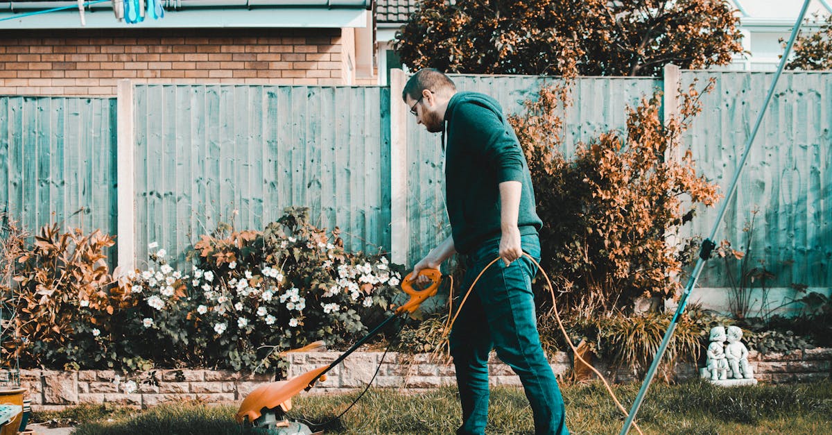 découvrez l'art du jardinage et transformez votre espace extérieur en un havre de paix. conseils pratiques, astuces de culture, et inspirations pour créer un jardin florissant tout au long de l'année.